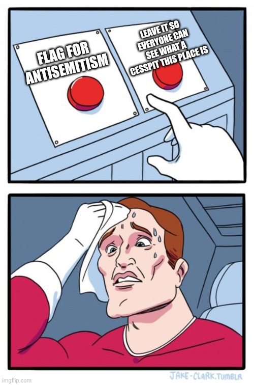 FLAG FOR ANTISEMITISM LEAVE IT SO EVERYONE CAN SEE WHAT A CESSPIT THIS PLACE IS | image tagged in memes,two buttons | made w/ Imgflip meme maker