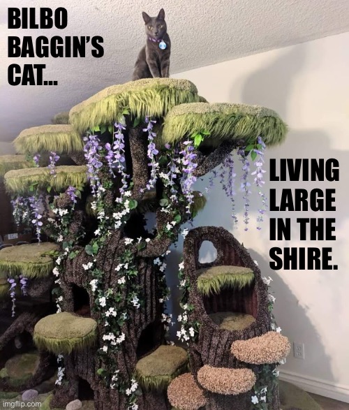 Bilbo stays with him a lot. | BILBO 
BAGGIN’S 
CAT…; LIVING 
LARGE
IN THE
SHIRE. | image tagged in cats,cat condo,bilbo baggins,living large | made w/ Imgflip meme maker