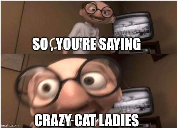 Coincidence, I THINK NOT | SO , YOU'RE SAYING CRAZY CAT LADIES | image tagged in coincidence i think not | made w/ Imgflip meme maker