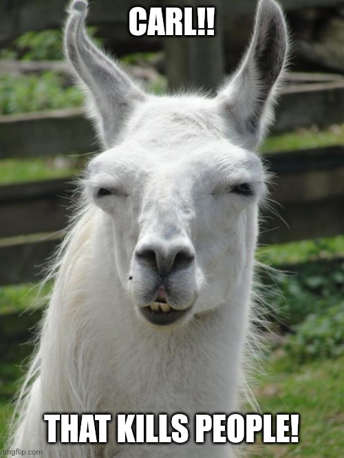 Please get the refrence | CARL!! THAT KILLS PEOPLE! | image tagged in llama glare | made w/ Imgflip meme maker