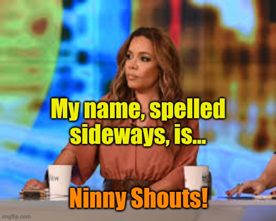 Sunny Hostin | My name, spelled sideways, is... Ninny Shouts! | image tagged in sunny hostin | made w/ Imgflip meme maker