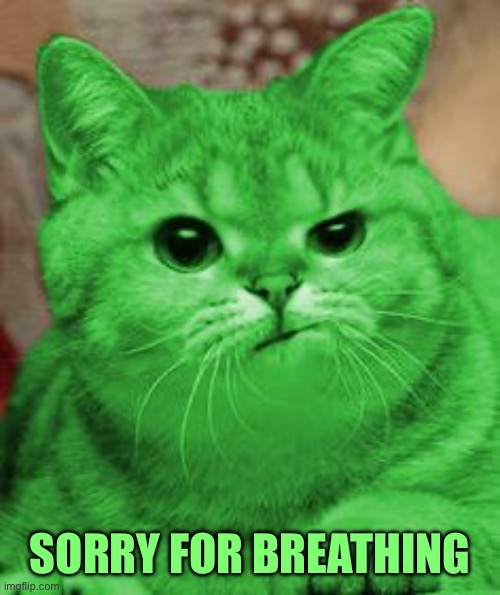 SORRY FOR BREATHING | image tagged in raycat annoyed | made w/ Imgflip meme maker
