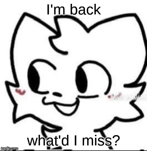 boykisser | I'm back; what'd I miss? | image tagged in boykisser | made w/ Imgflip meme maker