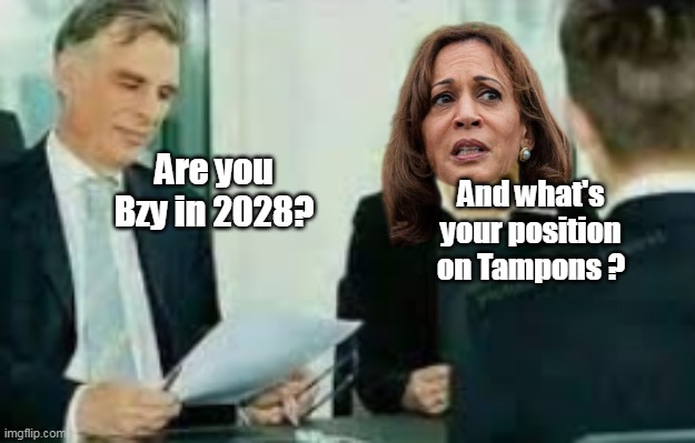 Are you Bzy in 2028? And what's your position on Tampons ? | made w/ Imgflip meme maker