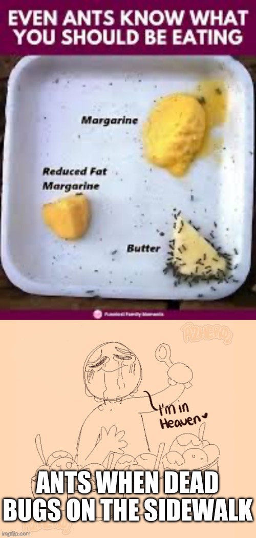 ANTS WHEN DEAD BUGS ON THE SIDEWALK | image tagged in i m in heaven | made w/ Imgflip meme maker