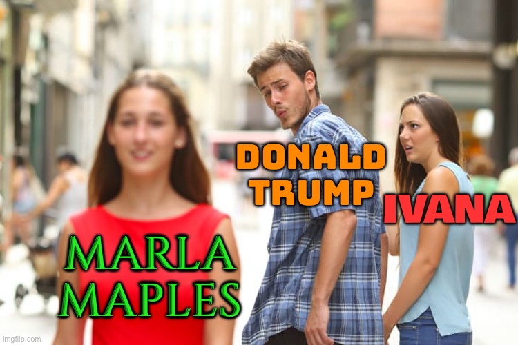 Marla Maples | DONALD
TRUMP; IVANA; MARLA
MAPLES | image tagged in memes,distracted boyfriend,donald trump,marriage,wife,funny memes | made w/ Imgflip meme maker