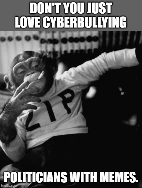 I Know I do. LOL | DON'T YOU JUST LOVE CYBERBULLYING; POLITICIANS WITH MEMES. | image tagged in therapist chimp,memes,politicians,cyberbullying,lol | made w/ Imgflip meme maker