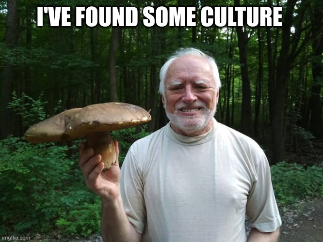Hide The Pain Harold Holding A Mushroom | I'VE FOUND SOME CULTURE | image tagged in hide the pain harold holding a mushroom | made w/ Imgflip meme maker