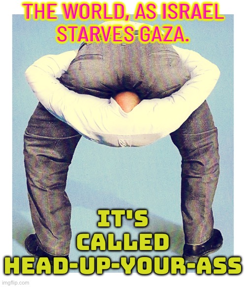The World, As Israel Starves Gaza. It's Called Head Up Your Ass | THE WORLD, AS ISRAEL
STARVES GAZA. IT'S
CALLED
HEAD-UP-YOUR-ASS | image tagged in where the sun don't shine,palestine,genocide,religion,ass,starvation | made w/ Imgflip meme maker