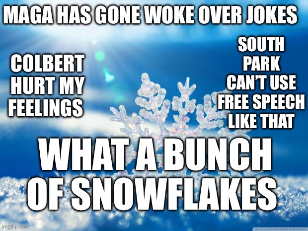 snowflake | MAGA HAS GONE WOKE OVER JOKES; SOUTH PARK CAN’T USE FREE SPEECH LIKE THAT; COLBERT HURT MY FEELINGS; WHAT A BUNCH OF SNOWFLAKES | image tagged in snowflake | made w/ Imgflip meme maker