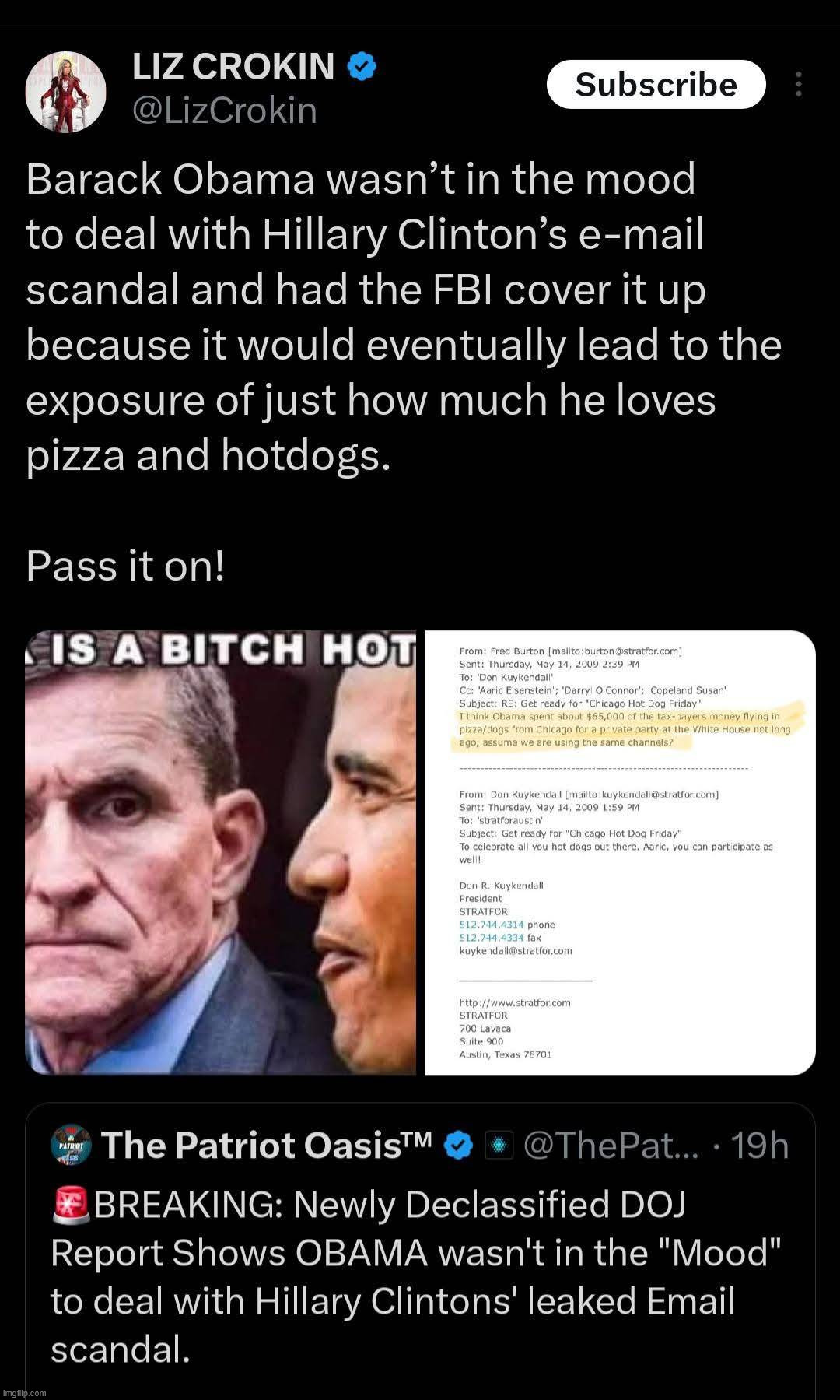 Too big for democrats to cover up | image tagged in pedo,0bama | made w/ Imgflip meme maker