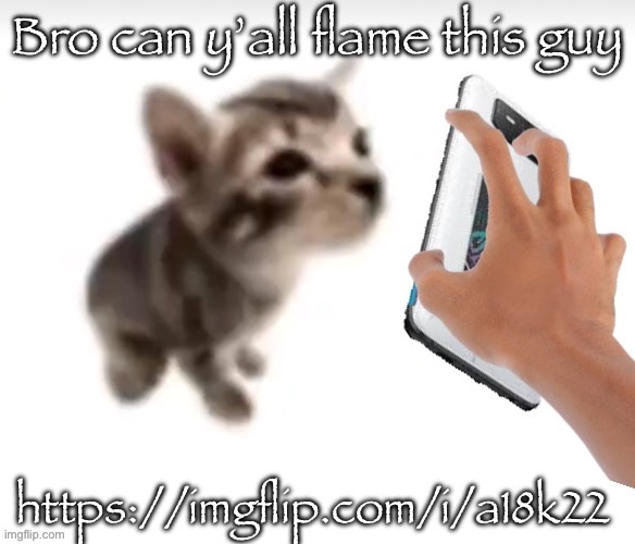 This is fucked up beyond belief | Bro can y’all flame this guy; https://imgflip.com/i/a18k22 | image tagged in el gatito phone | made w/ Imgflip meme maker