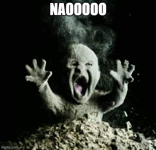 Ash baby | NAOOOOO | image tagged in ash baby | made w/ Imgflip meme maker