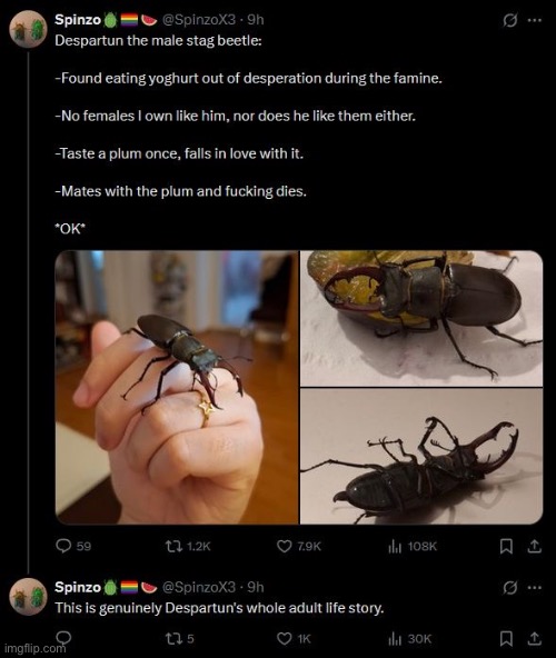 image tagged in thehugepig lore | made w/ Imgflip meme maker