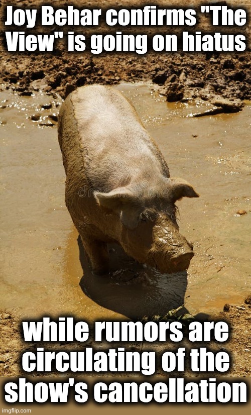 Good riddance | Joy Behar confirms "The View" is going on hiatus; while rumors are circulating of the
show's cancellation | image tagged in memes,joy behar,the view,pigs,democrats,cancelled | made w/ Imgflip meme maker