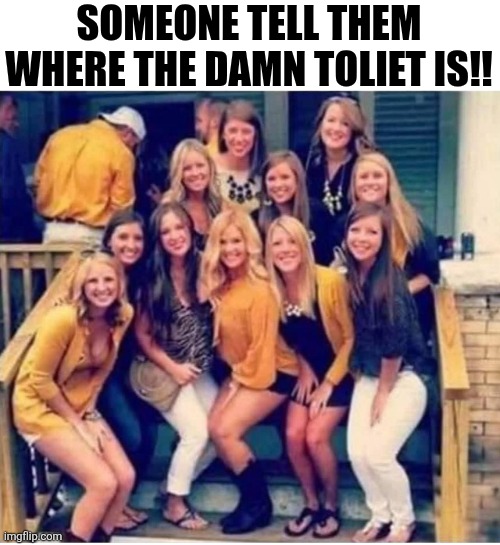 Someone Tell Them Where The Damn Toliet Is!! | SOMEONE TELL THEM WHERE THE DAMN TOLIET IS!! | image tagged in chrisjoines1 | made w/ Imgflip meme maker