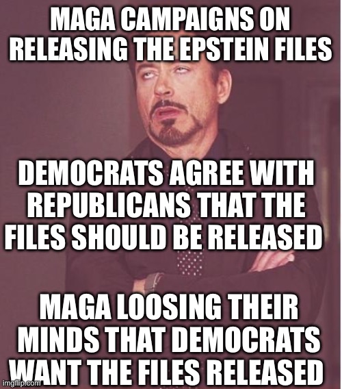 Face You Make Robert Downey Jr Meme | MAGA CAMPAIGNS ON RELEASING THE EPSTEIN FILES; DEMOCRATS AGREE WITH REPUBLICANS THAT THE FILES SHOULD BE RELEASED; MAGA LOOSING THEIR MINDS THAT DEMOCRATS WANT THE FILES RELEASED | image tagged in memes,face you make robert downey jr | made w/ Imgflip meme maker