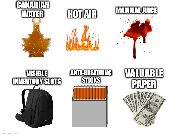 I love me some Canadian Water on my pancakes | CANADIAN WATER; MAMMAL JUICE; HOT AIR; ANTI-BREATHING STICKS; VISIBLE INVENTORY SLOTS; VALUABLE PAPER | image tagged in memes,so true memes,bruh | made w/ Imgflip meme maker