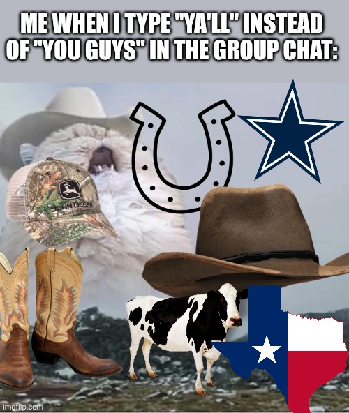 Country Roads Cat | ME WHEN I TYPE "YA'LL" INSTEAD OF "YOU GUYS" IN THE GROUP CHAT: | image tagged in country roads cat | made w/ Imgflip meme maker