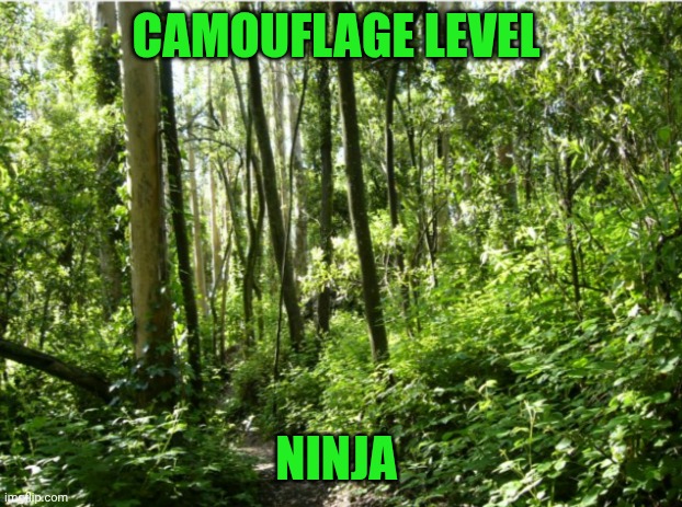 Funny | CAMOUFLAGE LEVEL; NINJA | image tagged in funny,camouflage,level expert,ninja,forest,ratings | made w/ Imgflip meme maker