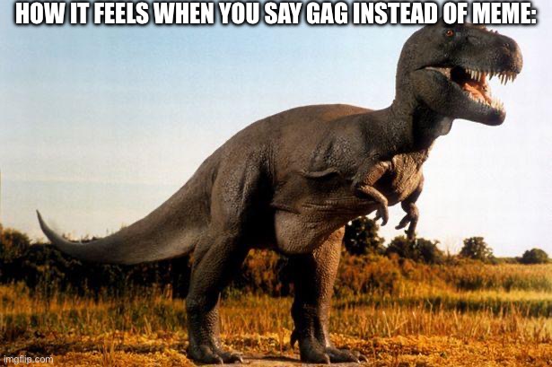 dinosaur | HOW IT FEELS WHEN YOU SAY GAG INSTEAD OF MEME: | image tagged in dinosaur | made w/ Imgflip meme maker