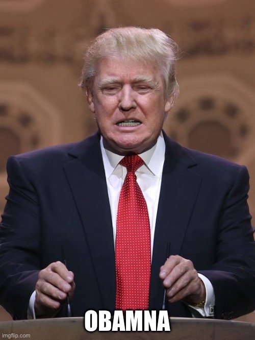Donald Trump | OBAMNA | image tagged in donald trump | made w/ Imgflip meme maker