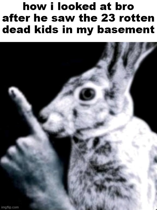 thou saw nothing | how i looked at bro after he saw the 23 rotten dead kids in my basement | image tagged in rabbit | made w/ Imgflip meme maker