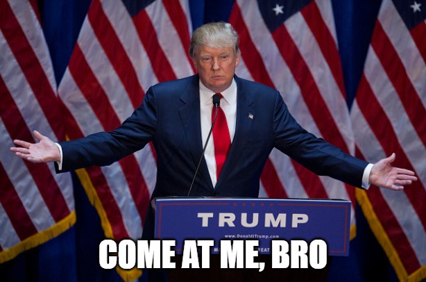 Come at me, Bro! | COME AT ME, BRO | image tagged in donald trump,maga | made w/ Imgflip meme maker