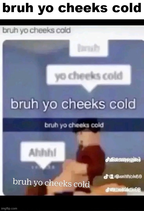 bruh yo cheeks cold | bruh yo cheeks cold | image tagged in memes | made w/ Imgflip meme maker