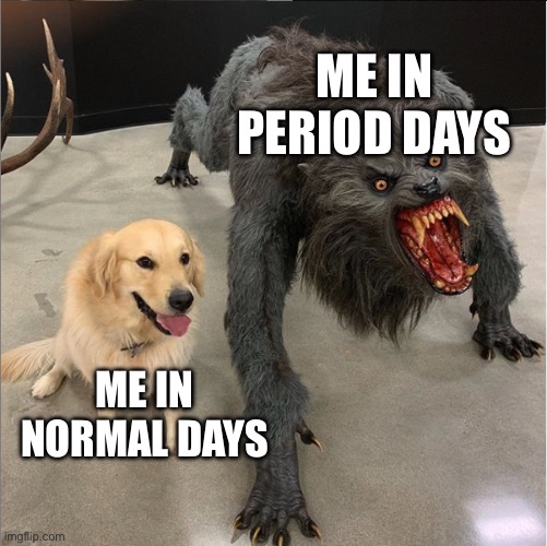 FR bro | ME IN PERIOD DAYS; ME IN NORMAL DAYS | image tagged in dog vs werewolf,period | made w/ Imgflip meme maker