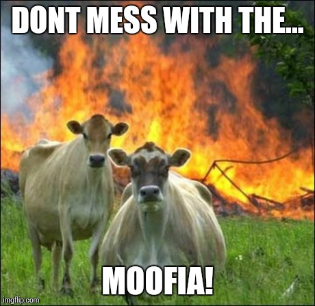 Evil Cows | DONT MESS WITH THE... MOOFIA! | image tagged in memes,evil cows | made w/ Imgflip meme maker