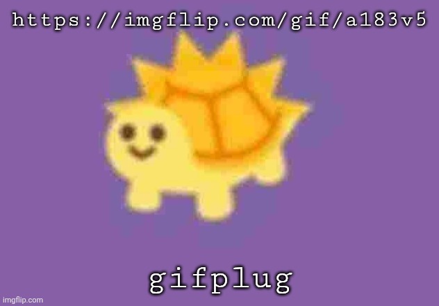 https://imgflip.com/gif/a183v5 | https://imgflip.com/gif/a183v5; gifplug | image tagged in low quality turtle sun god | made w/ Imgflip meme maker