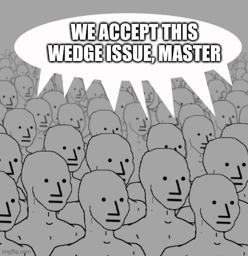 npc-crowd | WE ACCEPT THIS WEDGE ISSUE, MASTER | image tagged in npc-crowd | made w/ Imgflip meme maker