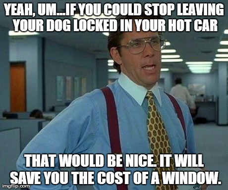 That Would Be Great Meme | YEAH, UM...IF YOU COULD STOP LEAVING YOUR DOG LOCKED IN YOUR HOT CAR THAT WOULD BE NICE. IT WILL SAVE YOU THE COST OF A WINDOW. | image tagged in memes,that would be great | made w/ Imgflip meme maker