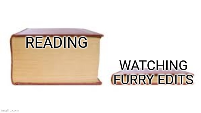 Bɔk | READING; WATCHING FURRY EDITS | image tagged in big book small book | made w/ Imgflip meme maker