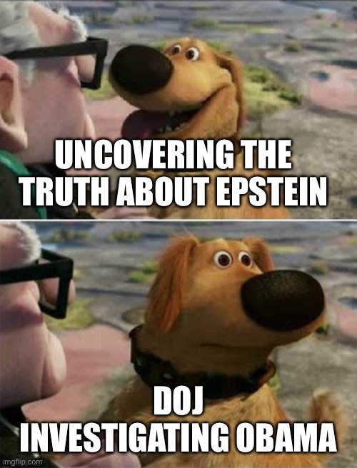 They’re trying to distract you. | UNCOVERING THE TRUTH ABOUT EPSTEIN; DOJ INVESTIGATING OBAMA | image tagged in distracted by squirrel | made w/ Imgflip meme maker