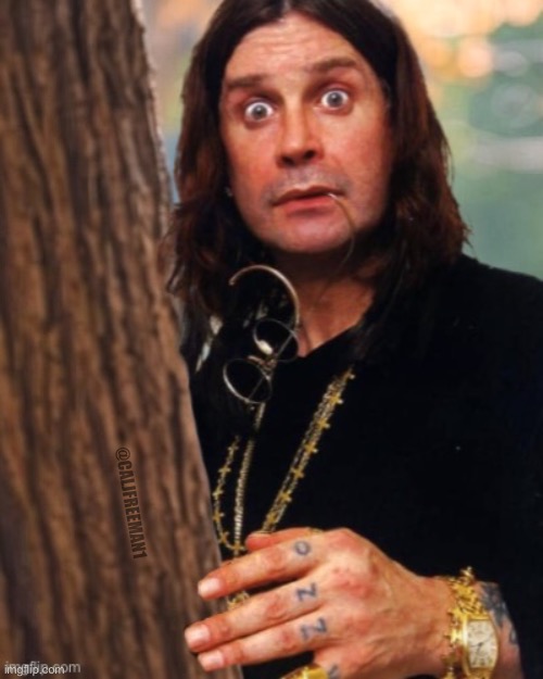 Ozzy behind tree…. | @CALJFREEMAN1 | image tagged in ozzy osbourne,black guy hiding behind tree,maga,ozzy,donald trump approves,hulk hogan | made w/ Imgflip meme maker