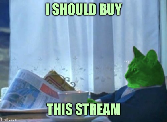 I Should Buy a Boat RayCat | I SHOULD BUY; THIS STREAM | image tagged in i should buy a boat raycat | made w/ Imgflip meme maker