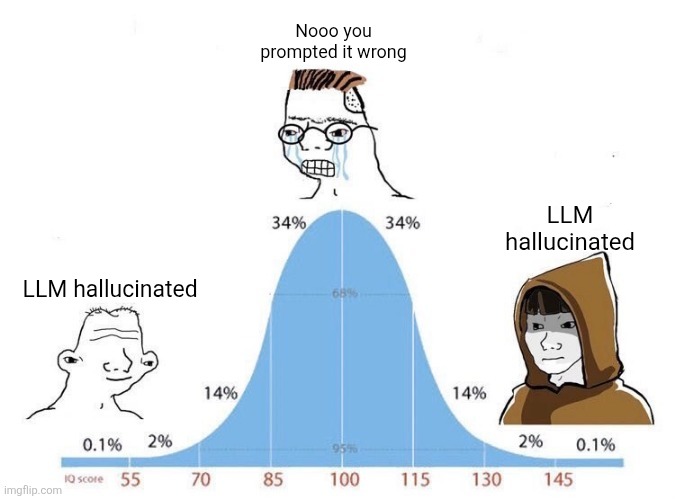 Bell Curve | Nooo you prompted it wrong; LLM hallucinated; LLM hallucinated | image tagged in bell curve | made w/ Imgflip meme maker