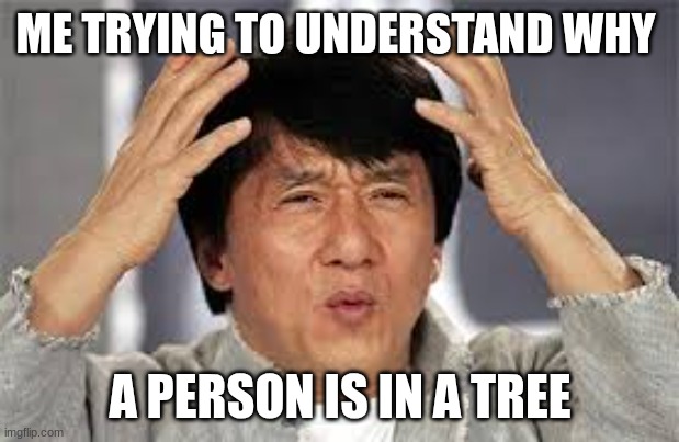 Confused Jackie Chan | ME TRYING TO UNDERSTAND WHY A PERSON IS IN A TREE | image tagged in confused jackie chan | made w/ Imgflip meme maker