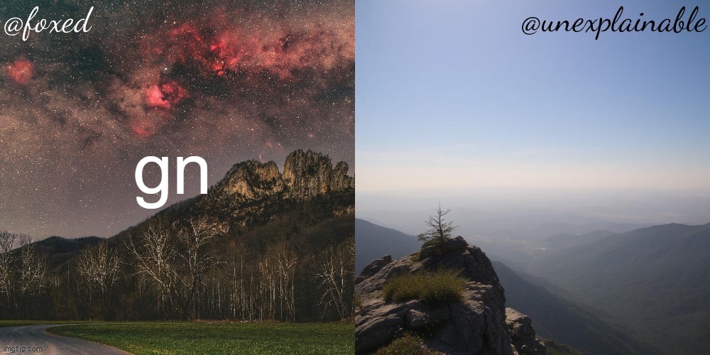 The fox is unexplainable. | gn | image tagged in the fox is unexplainable | made w/ Imgflip meme maker