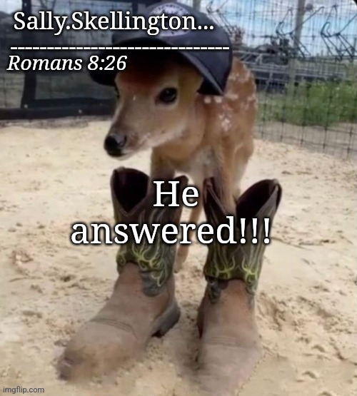 Sally's temp | He answered!!! | image tagged in sally's temp | made w/ Imgflip meme maker