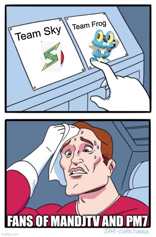 Sometimes it is hard to choose | Team Frog; Team Sky; FANS OF MANDJTV AND PM7 | image tagged in memes,two buttons,pokemon | made w/ Imgflip meme maker
