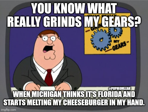 Survivin heatwave in Michigan Be Like | YOU KNOW WHAT REALLY GRINDS MY GEARS? #PUPMOMLEAH; WHEN MICHIGAN THINKS IT'S FLORIDA AND STARTS MELTING MY CHEESEBURGER IN MY HAND. | image tagged in memes,peter griffin news | made w/ Imgflip meme maker
