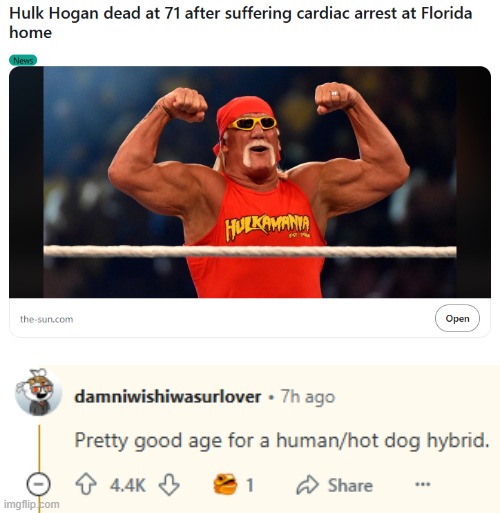 image tagged in hulk hogan,cardiac arrest,human,hot dog,hybrid,oof | made w/ Imgflip meme maker