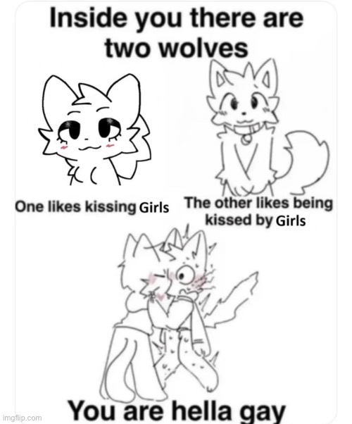 Who tf made this and forgot to replace “gay” with “lesbian?” | made w/ Imgflip meme maker