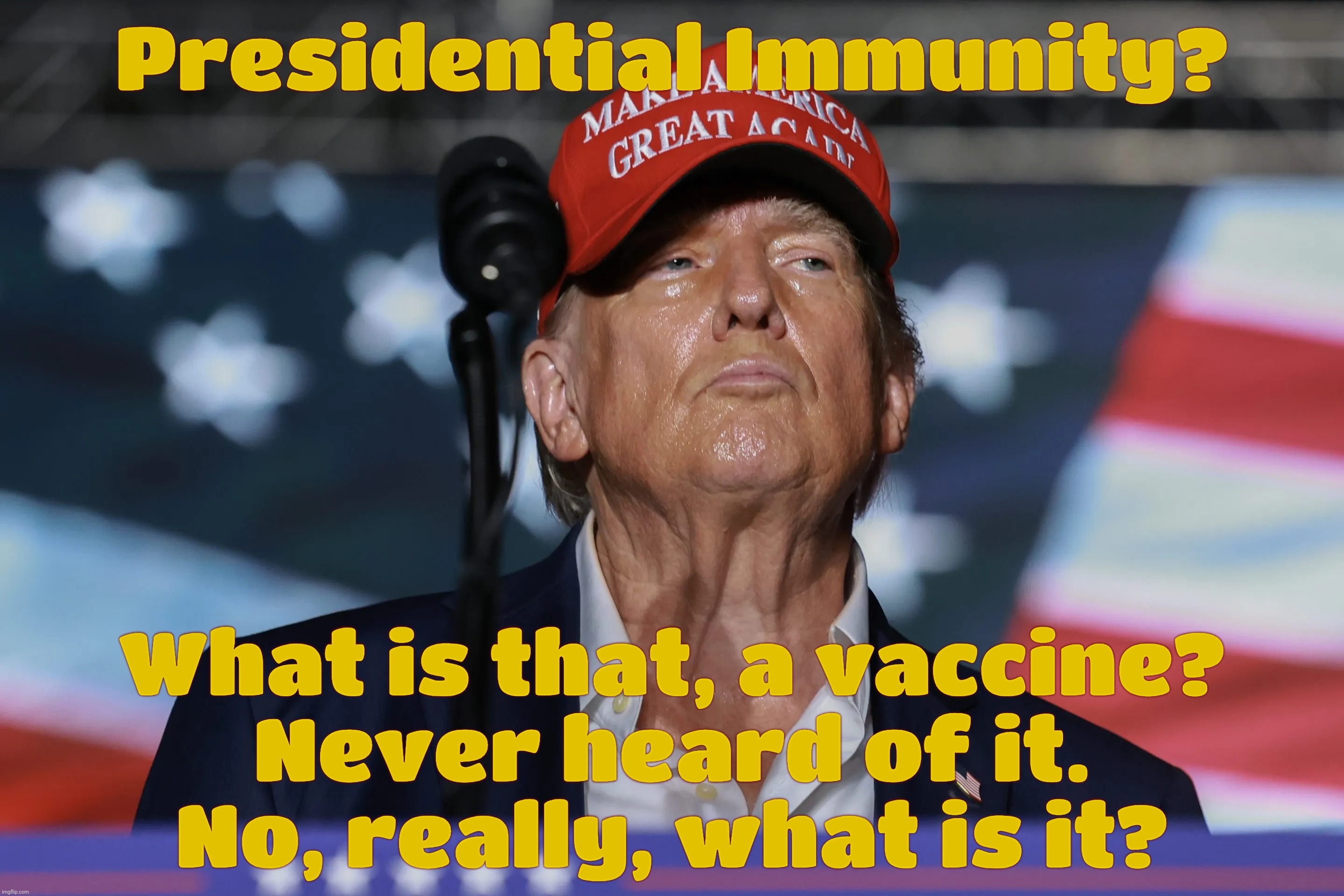 Looks like somebody forgot about the SCrOTUS Presidential Immunity ruling | Presidential Immunity? What is that, a vaccine?
Never heard of it.
No, really, what is it? | image tagged in trump,lock them up,trump after obama again,looks like somebody forgot about presidential immunity,maga hypocrisy,no case | made w/ Imgflip meme maker