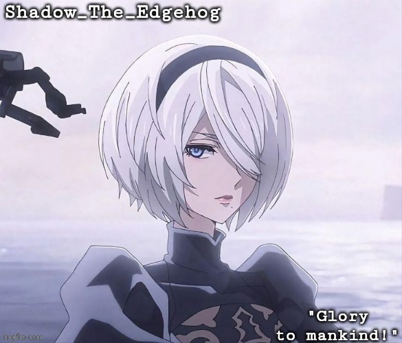 image tagged in shadow's 2b template | made w/ Imgflip meme maker