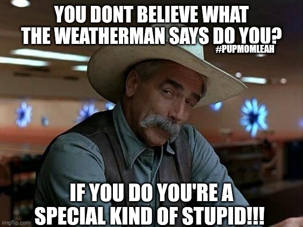 Dont believe the Weatherman | YOU DONT BELIEVE WHAT THE WEATHERMAN SAYS DO YOU? #PUPMOMLEAH; IF YOU DO YOU'RE A SPECIAL KIND OF STUPID!!! | image tagged in special kind of stupid | made w/ Imgflip meme maker