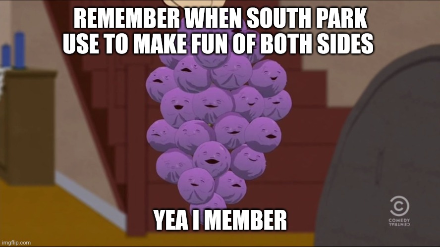 Member Berries Meme | REMEMBER WHEN SOUTH PARK USE TO MAKE FUN OF BOTH SIDES; YEA I MEMBER | image tagged in memes,member berries | made w/ Imgflip meme maker